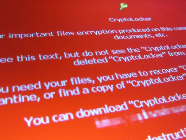 Cryptolocker, la minaccia arriva via mail