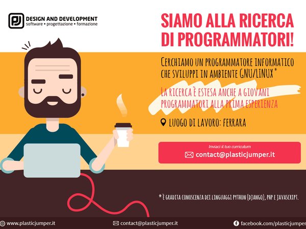 Cerchiamo programmatore scopo assunzione